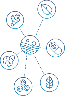 components
